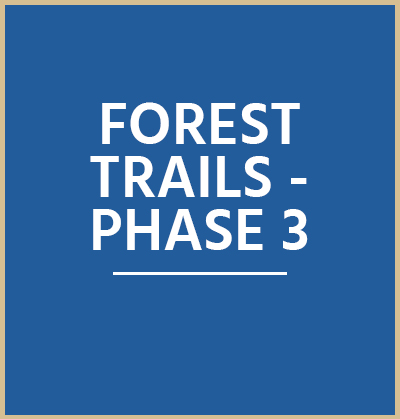 Forest Trail Phase 3